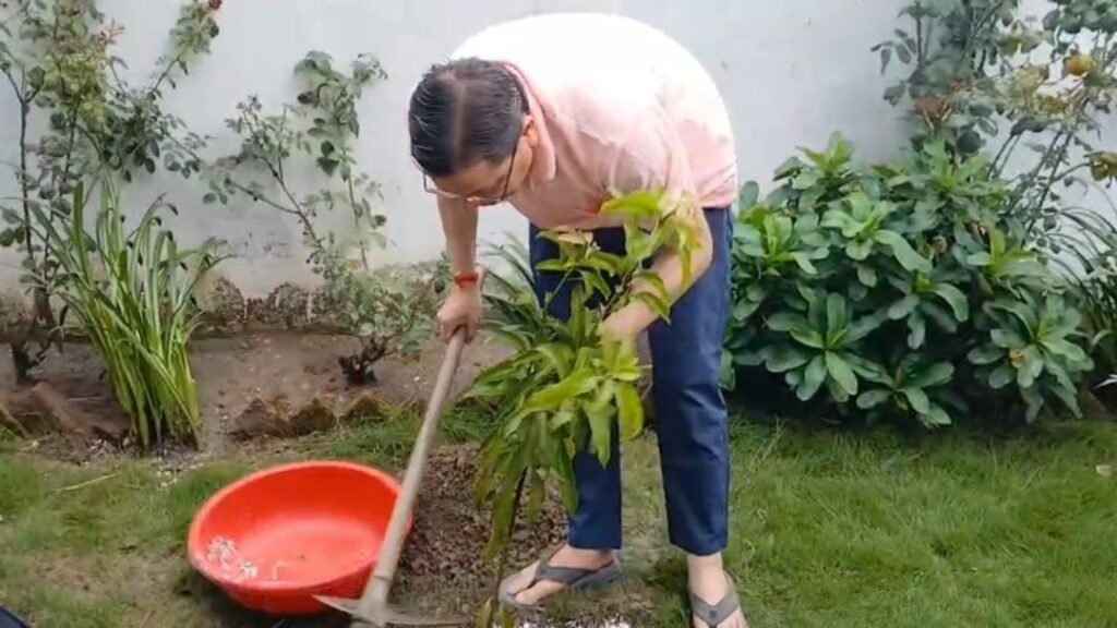 एक पेड़ मां के नाम
