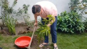 एक पेड़ मां के नाम