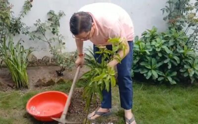 एक पेड़ मां के नाम