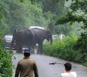 कोटद्वार