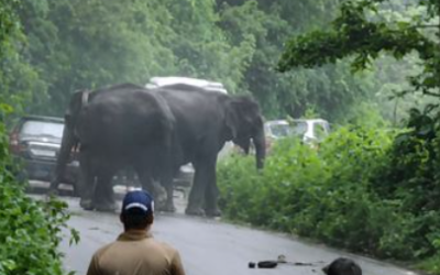 कोटद्वार